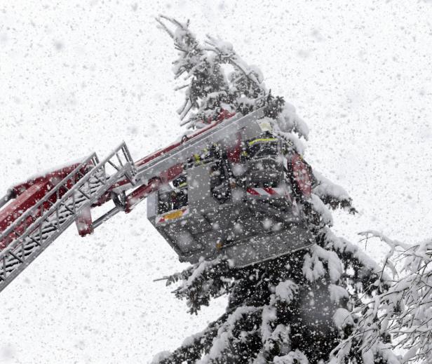 Eine Feuerwehrleiter reicht in einen schneebedeckten Baum bei starkem Schneefall.