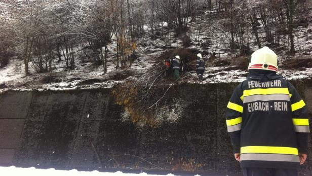 Ein Feuerwehrmann von Eisbach-Rein steht vor einer Böschung, während Kollegen Äste entfernen.