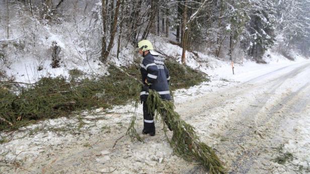 Ein Feuerwehrmann räumt im Winter Äste von einer verschneiten Straße.