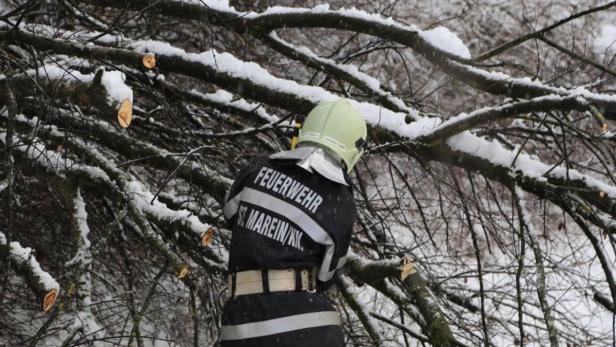 Ein Feuerwehrmann von St. Marein/Kn. arbeitet an einem Baum mit abgesägten, schneebedeckten Ästen.