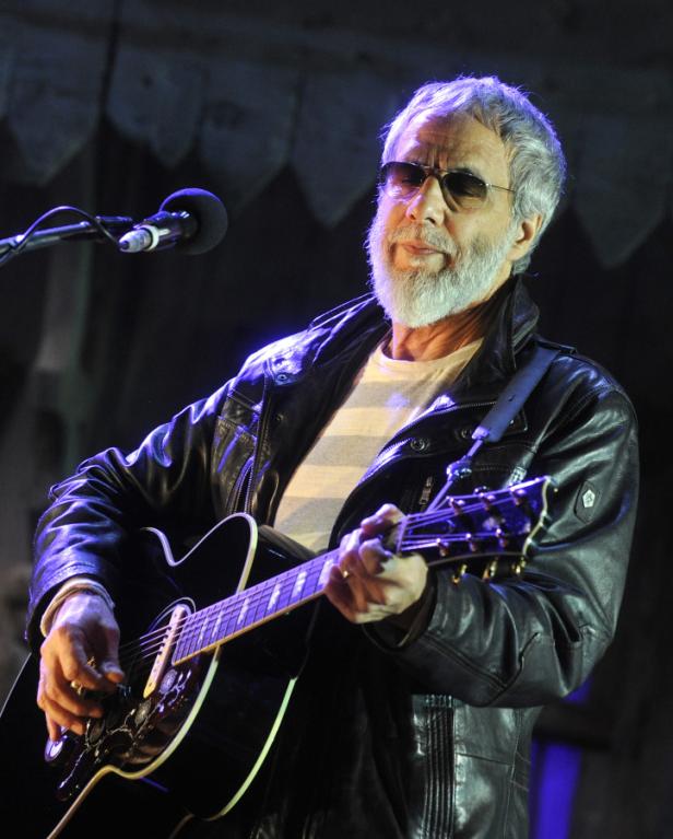 Ein Mann mit Sonnenbrille und Bart spielt Gitarre.