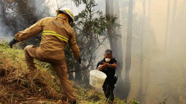 Feuer auf Madeira wütet weiter: 150 Häuser zerstört
