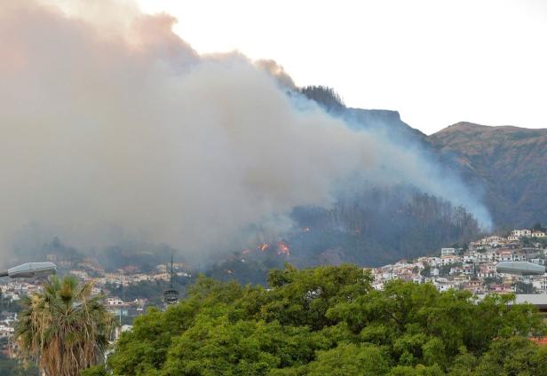 Feuer auf Madeira wütet weiter: 150 Häuser zerstört
