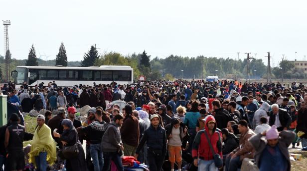 Eine große Menschenmenge steht vor einem Bus auf einem Feld.