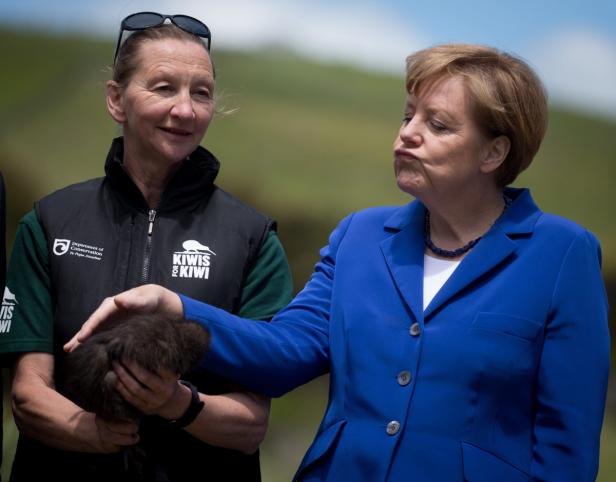 Angela Merkel betrachtet einen Kiwi-Vogel, der von einer Naturschützerin gehalten wird.