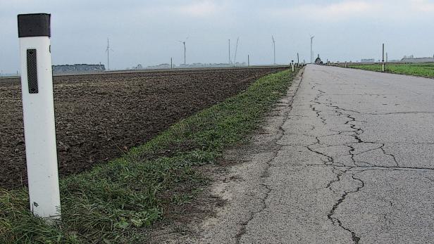 Hofer, kein Don Quijote im Marchfeld