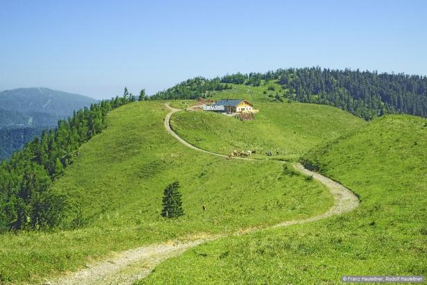 Willkommen im Wanderparadies vor den Toren Wiens