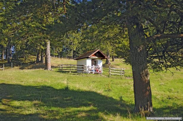 Willkommen im Wanderparadies vor den Toren Wiens