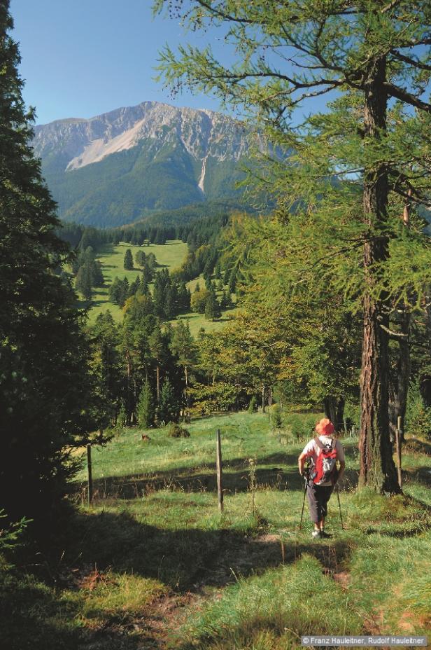 Willkommen im Wanderparadies vor den Toren Wiens