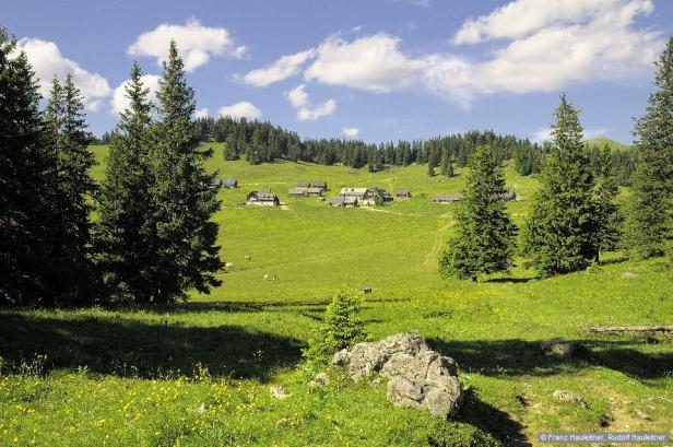 Willkommen im Wanderparadies vor den Toren Wiens