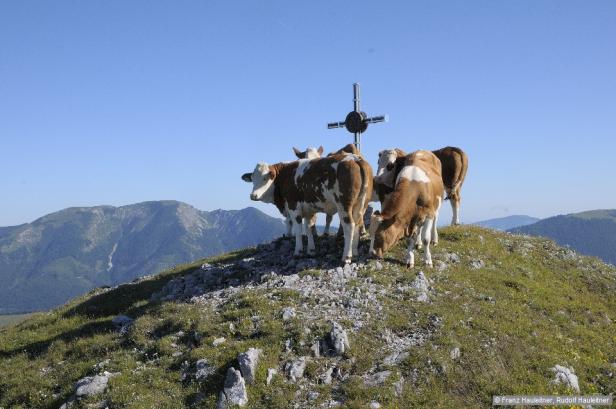 Willkommen im Wanderparadies vor den Toren Wiens