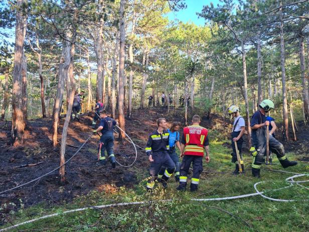 Waldbrand im Bezirk Baden: Mehrere Feuerwehren im Einsatz