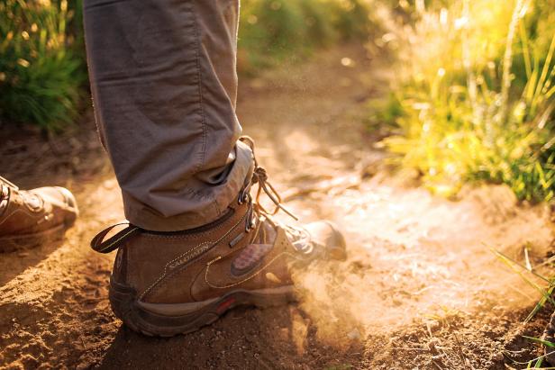 Der Herbst ist Wanderzeit: Wandern für Anfänger