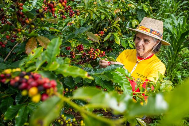 Genuss-Geheimnis: Darum schmeckt der Kaffee aus Brasilien so gut