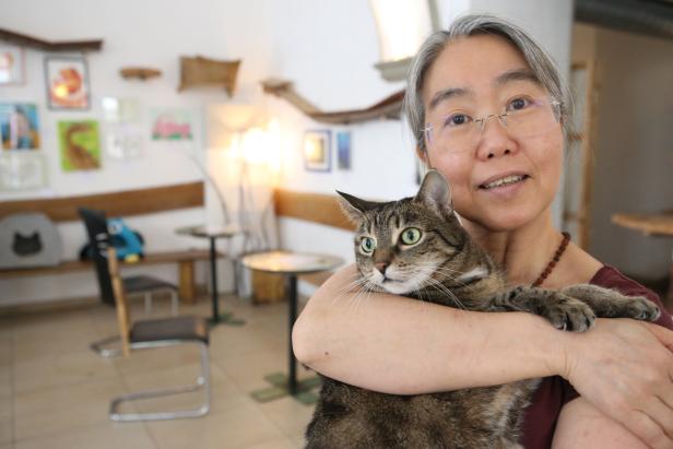 Eine Frau hält eine getigerte Katze im Arm.