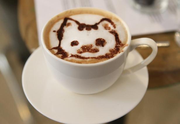 Ein Cappuccino mit einem Katzenmotiv aus Schokolade auf dem Milchschaum.