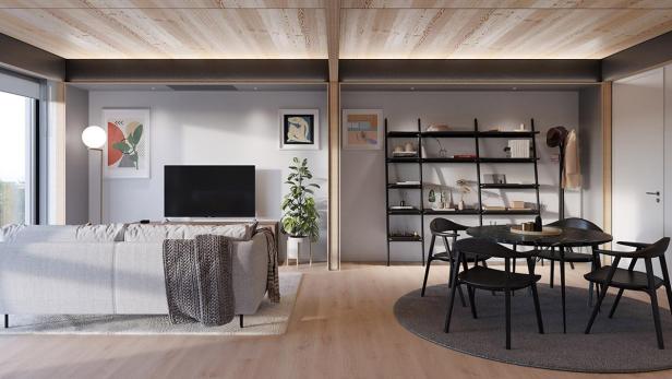 03-juno-mass-timber-bj-siegel-living-room