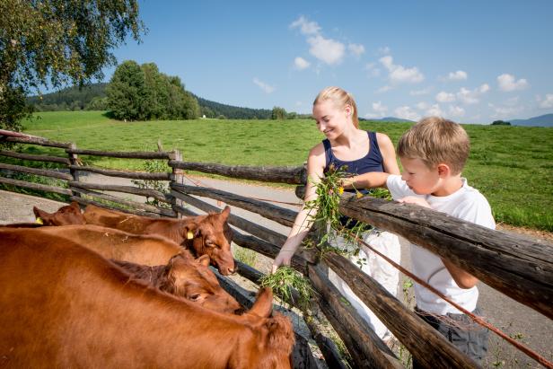 Lust auf Österreich_Waldviertel_Urlaub auf dem Bauernhof