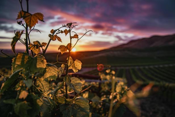 Der Herbst ist Sturm-Zeit