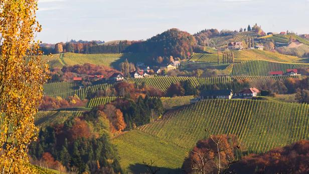 Herbst in der Südsteiermark