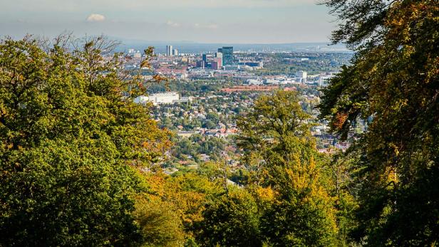 Herbst im Wienerwald