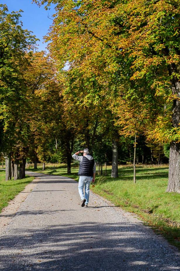 Lainzer Tiergarten