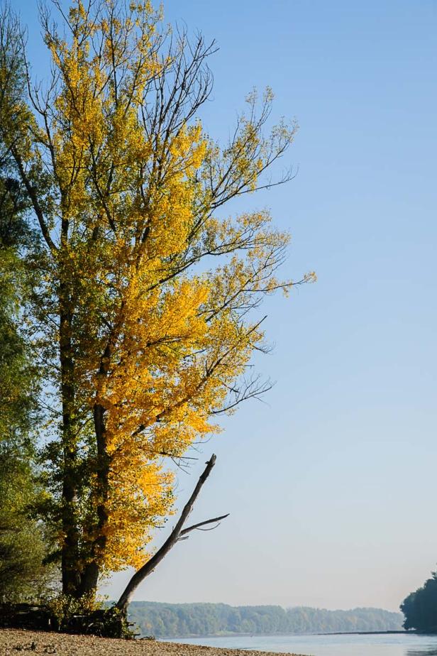 Nationalpark Donau-Auen