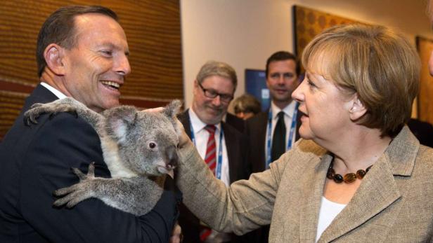 Angela Merkel streichelt einen Koala, den Tony Abbott im Arm hält.