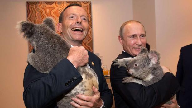 Tony Abbott und Wladimir Putin halten jeweils einen Koala im Arm.
