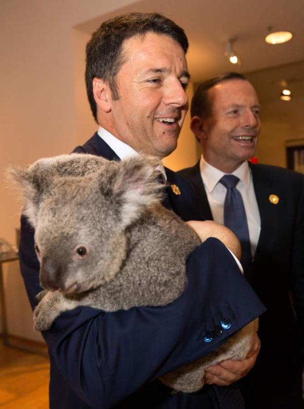 Matteo Renzi hält einen Koala im Arm, während Tony Abbott daneben steht.