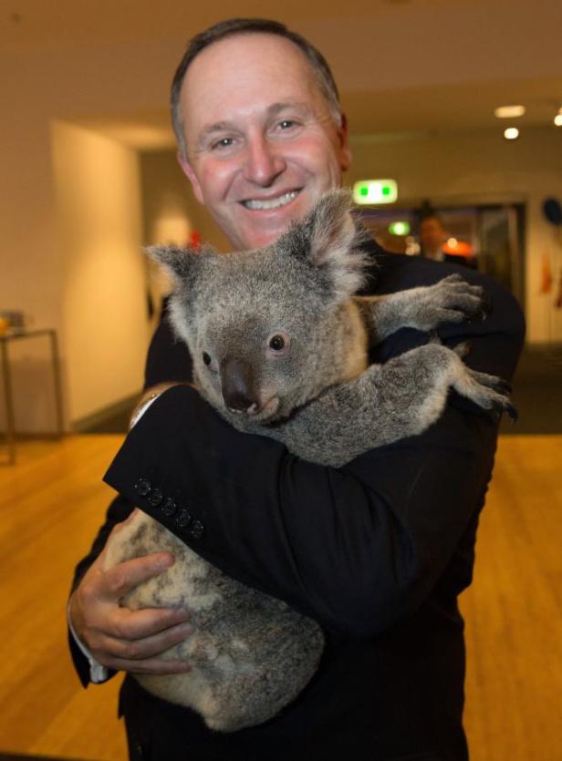 Ein Mann im Anzug hält einen Koala im Arm und lächelt.