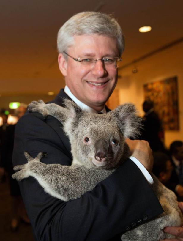 Ein Mann im Anzug hält einen Koala im Arm und lächelt.