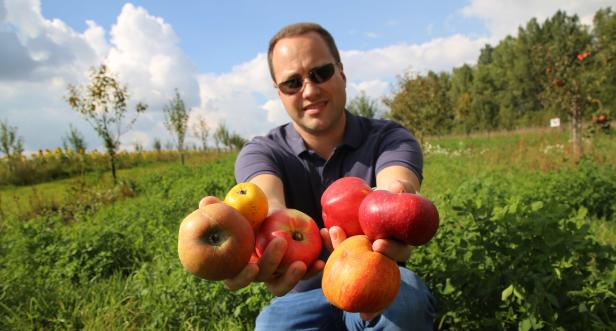 "Schöner aus Boskoop" und Co.: Reif für rare Apfelsorten