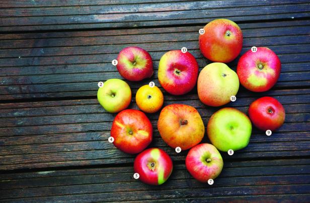 "Schöner aus Boskoop" und Co.: Reif für rare Apfelsorten