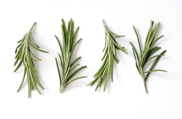 Fresh Rosemary (Rosmarinus officinalis) on White