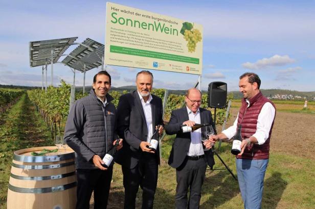 Fotovoltaik im Weingarten als Schutz vor Unwetter und Frost