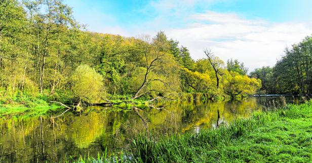 Wandern im Nationalpark Thayatal