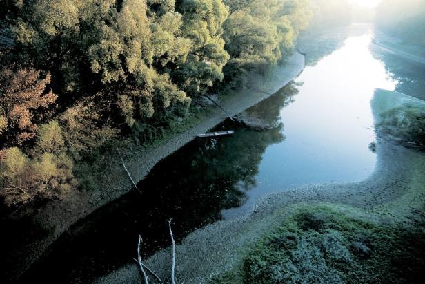 Wandern im Nationalpark Donau Auen