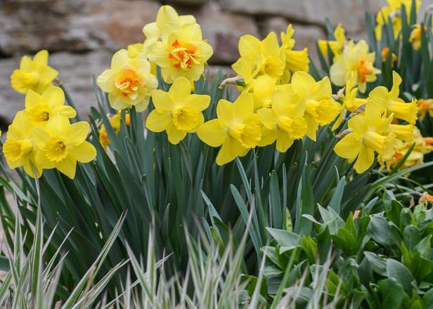 Tipps, wie Sie Ihren Garten winterfest machen