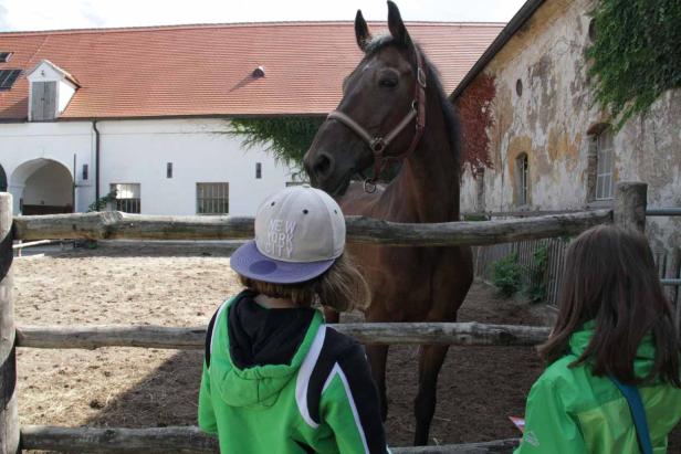 Magd oder Stallknecht?