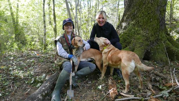 Zwei Frauen posieren mit ihren Hunden in einem Wald.