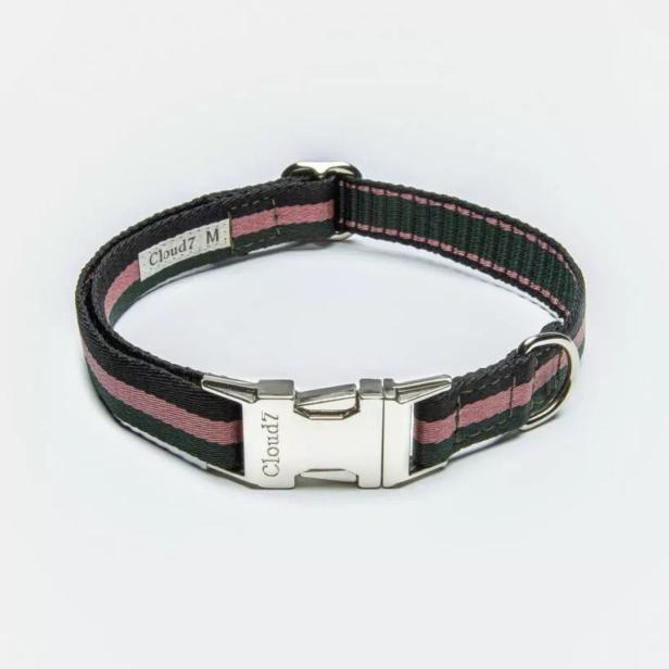 Ein Hundehalsband der Marke Cloud7 mit Streifen in Schwarz, Grün und Rosa.
