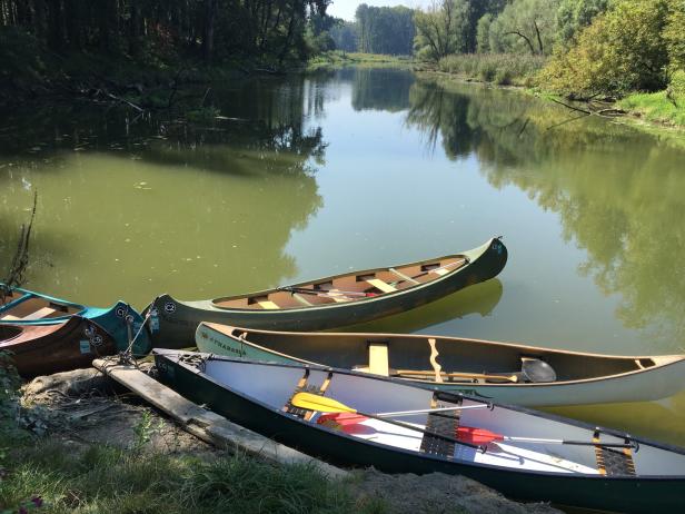 Wo Natur, Garten & Wein die perfekte Einheit bilden | Experience Tour in Tulln und Wagram