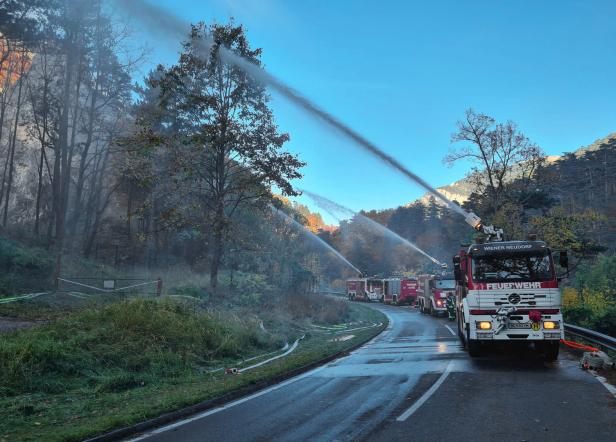Polizei vermutet illegales Lagerfeuer als Auslöser für Waldbrand