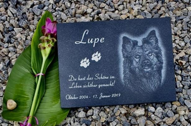 Am Friedhof: Hund und Herrl – auf ewig vereint