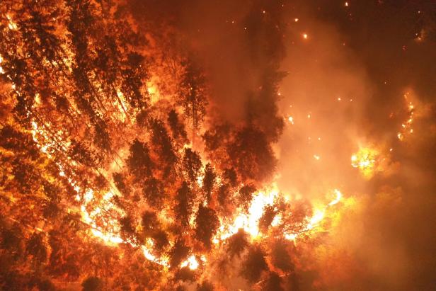 Waldbrand im Rax-Gebiet: Löschflugzeuge aus Italien im Einsatz