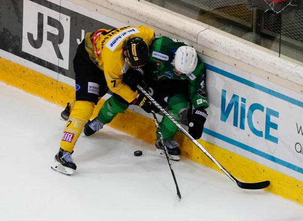 Eishockey, Vienna Capitals - HK Olimpija