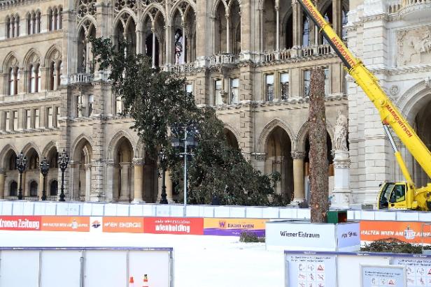 Am Wiener Christkindlmarkt  freut man sich auf Weihnachten