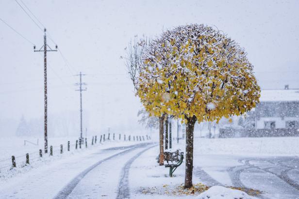 Erster richtiger Schnee des Jahres sorgt für schwierige Verkehrssituationen