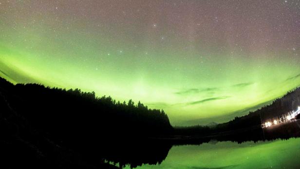 Grüne Aurora borealis leuchtet über einem dunklen See und Wald.